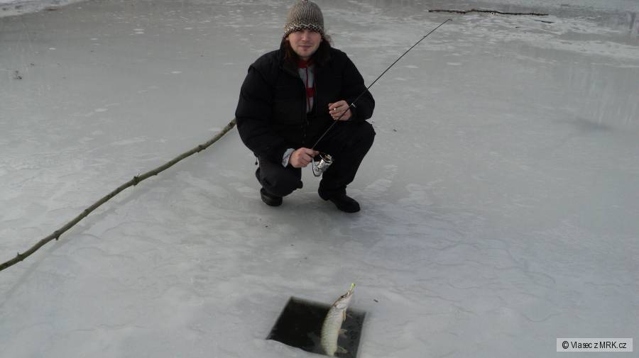 Štička 50cm