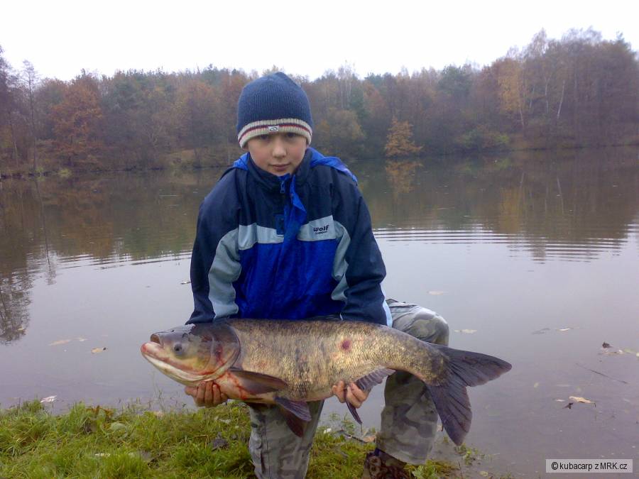 loňský macek