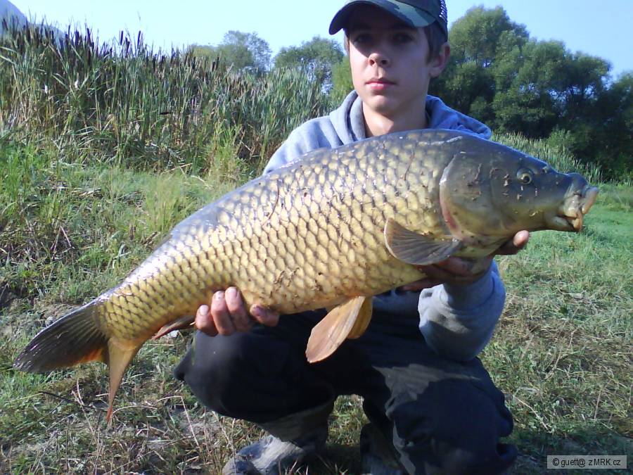 kapor na boilies