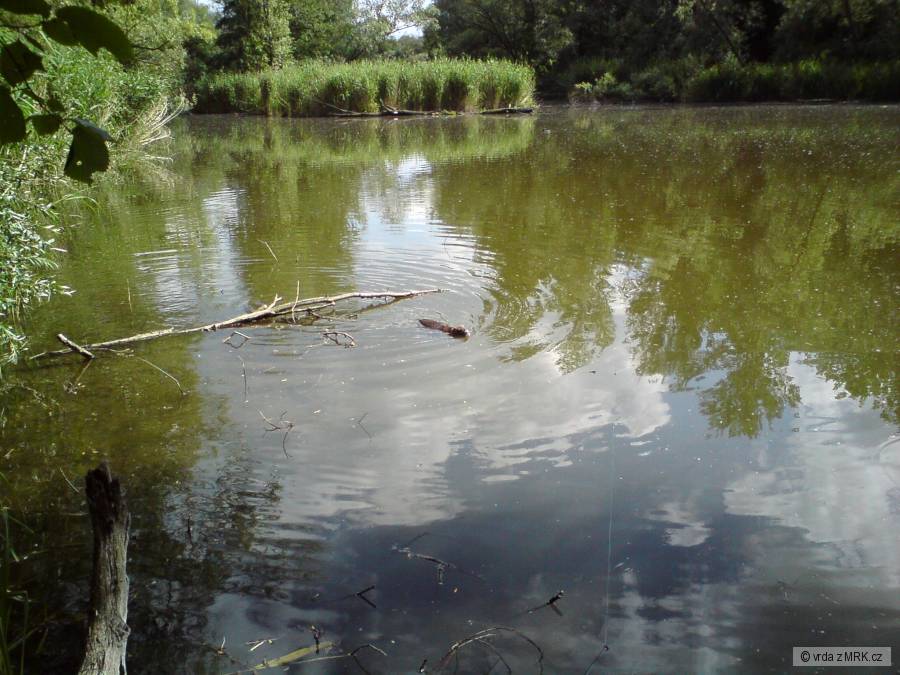 Krása
