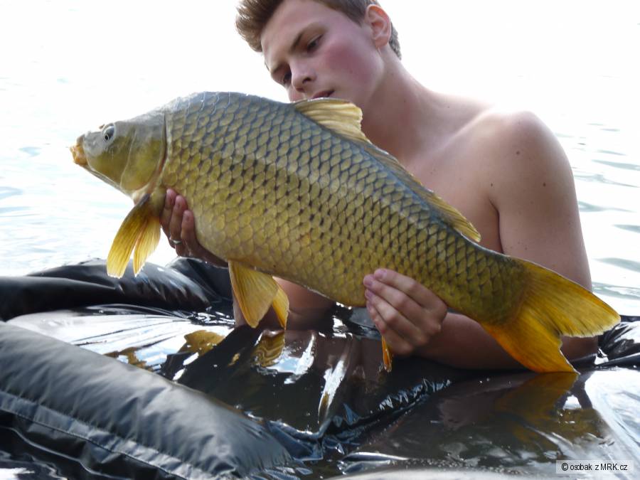 kolem 9 kg