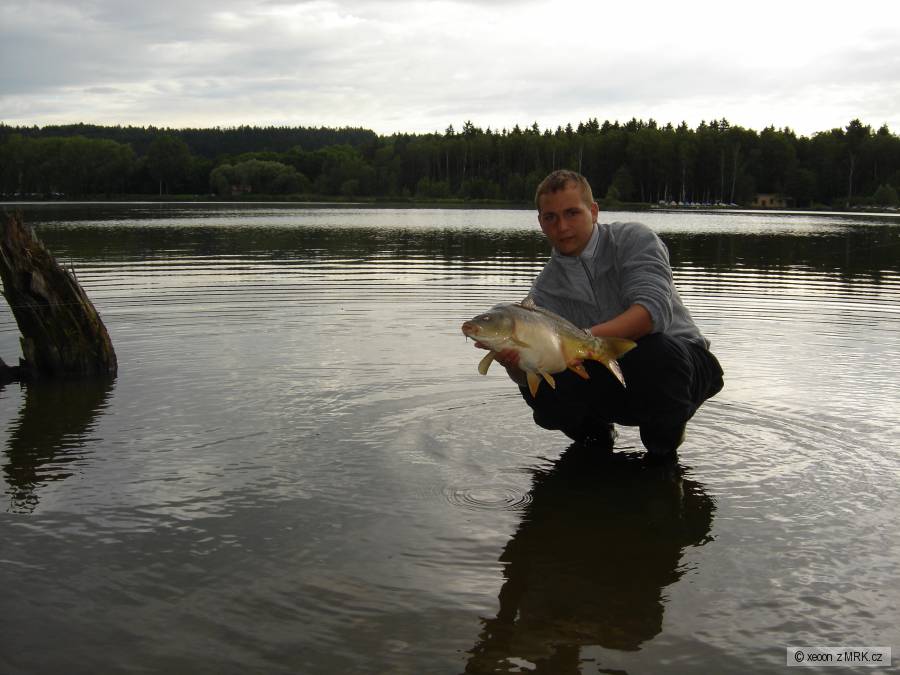 kapr kolem 60 cm