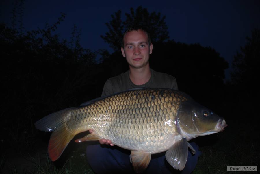 kapr 65 cm