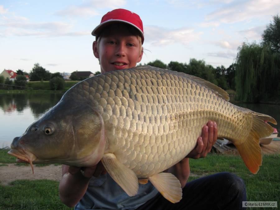kapr 80 cm - Sobáčov 2009