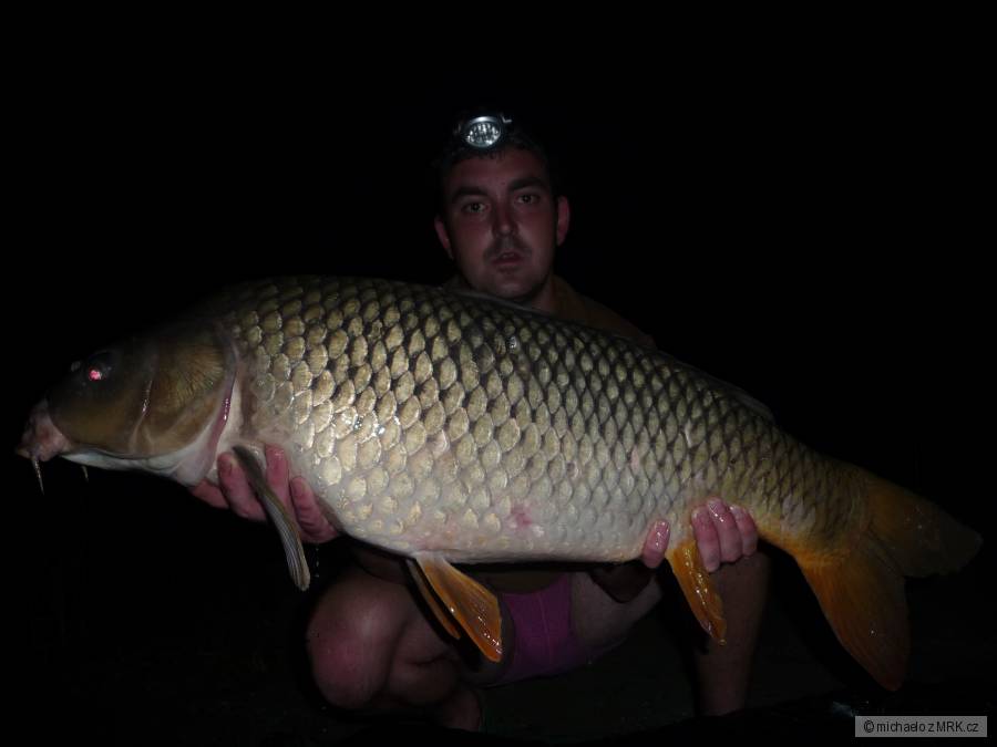 105 cm, 21kg