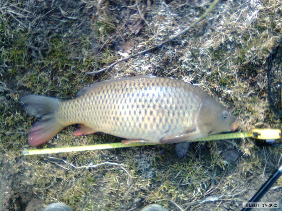 Labe 15.3
