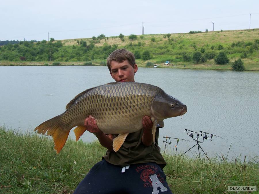 kapr 93 cm 16 kg