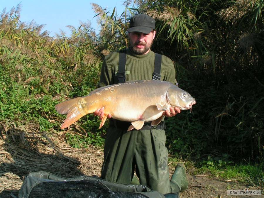 Kapr,17,40kg