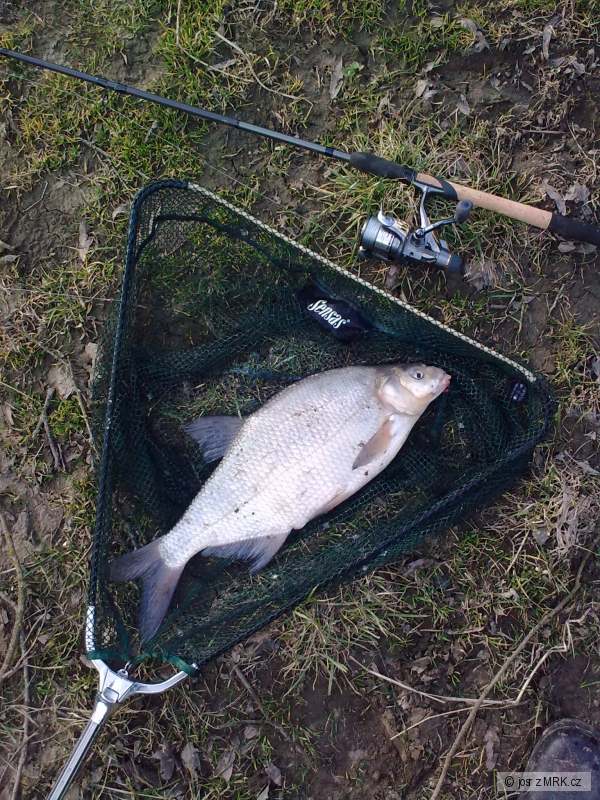 cejn 54 cm