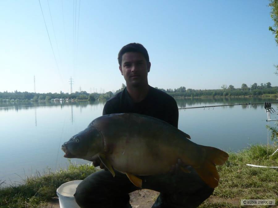 Toušeň 2010