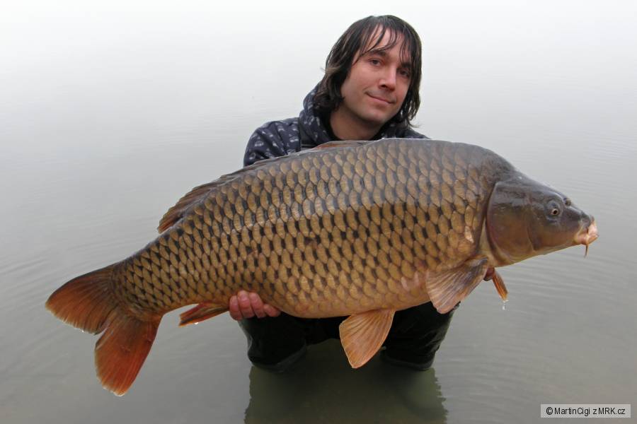 kapr 92cm a 16kg