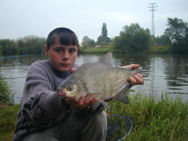 Cejn 56 cm na feeder