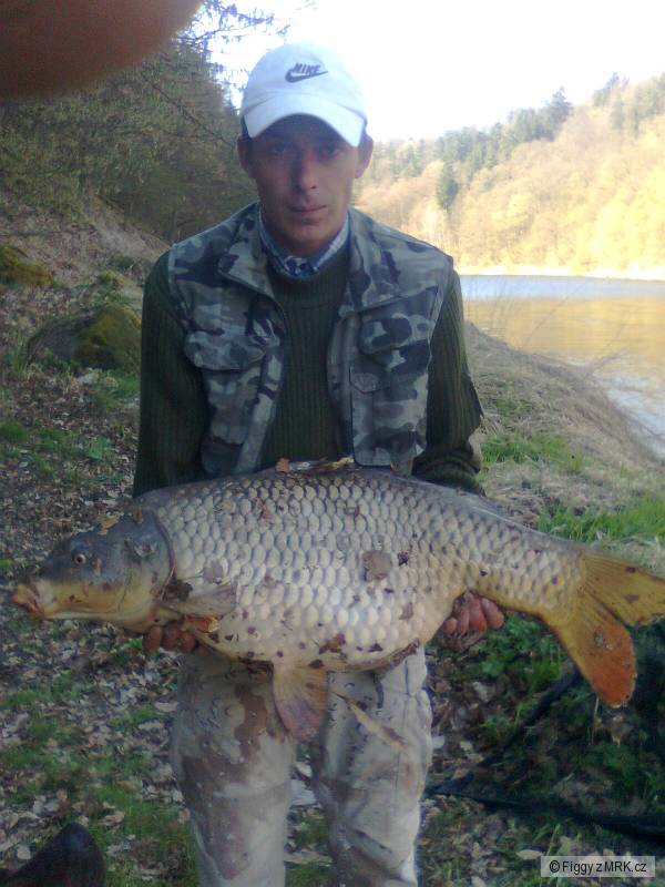 Kapr obecn�