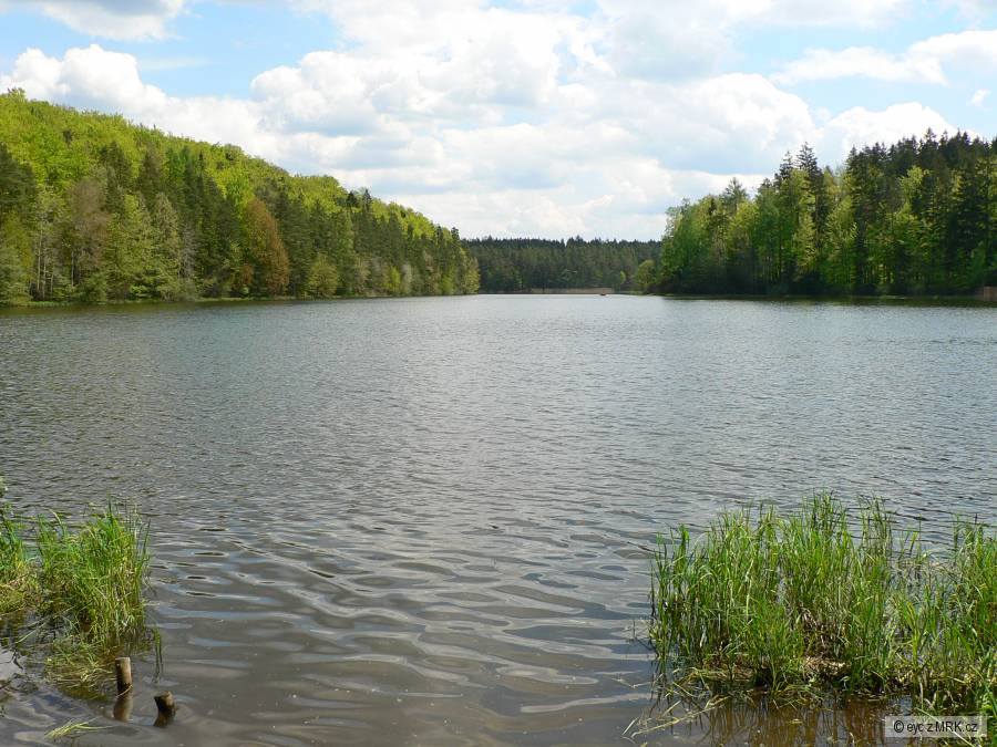 Staňkov