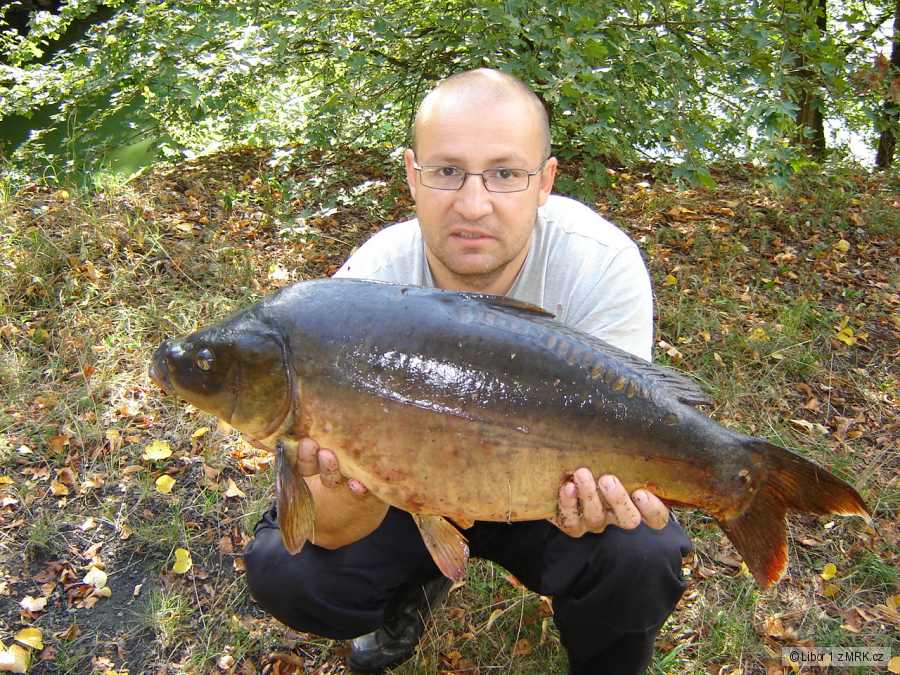 Svratka 5 77 cm, 8 kg boilí 20mm ananas - kokos