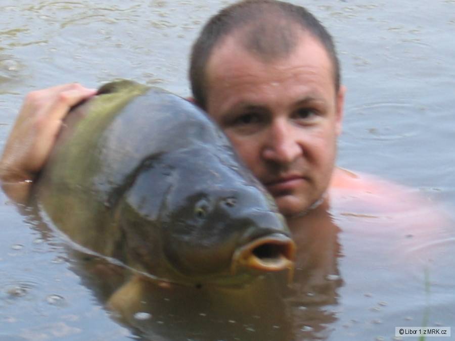 Svratka 1 84cm 16kg