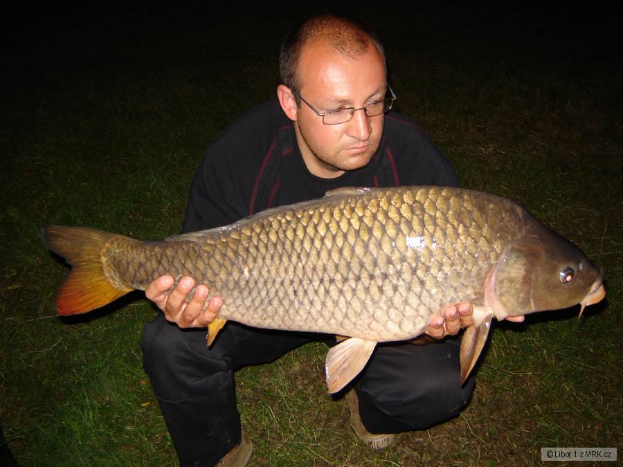 Dyje 15 87cm 10,5kg boilí ananas - kokos 2008
