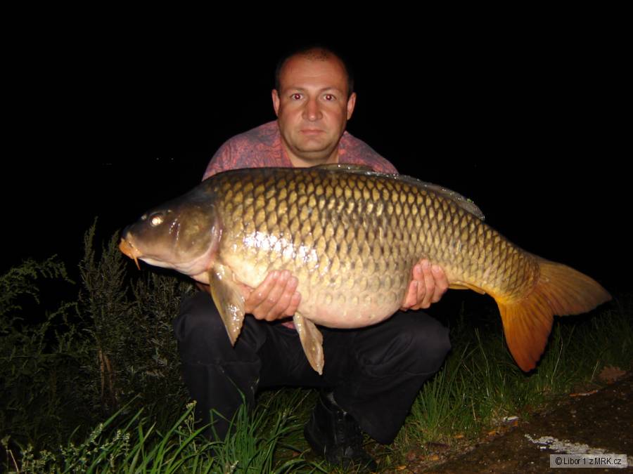 Dyje 5 17,5kg 95cm