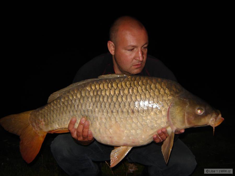 Dyje 5 15kg 94cm