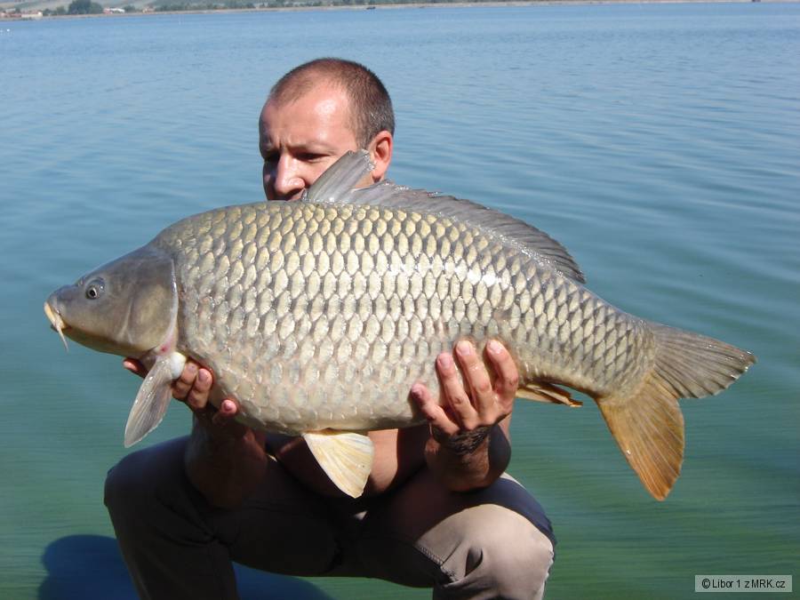 Dyje 5