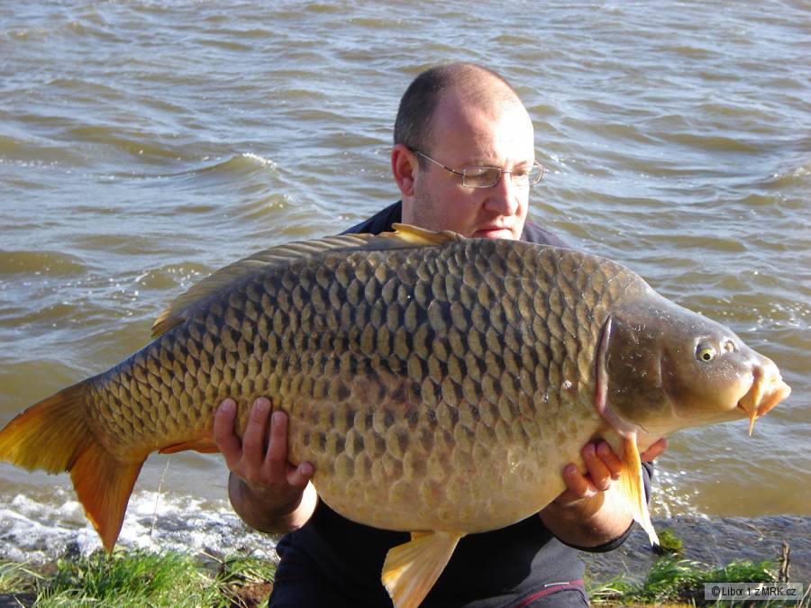 Dyje 5 22,2kg 98cm osobáček