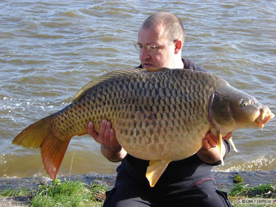 Dyje 5 22,2kg 98cm osobáček