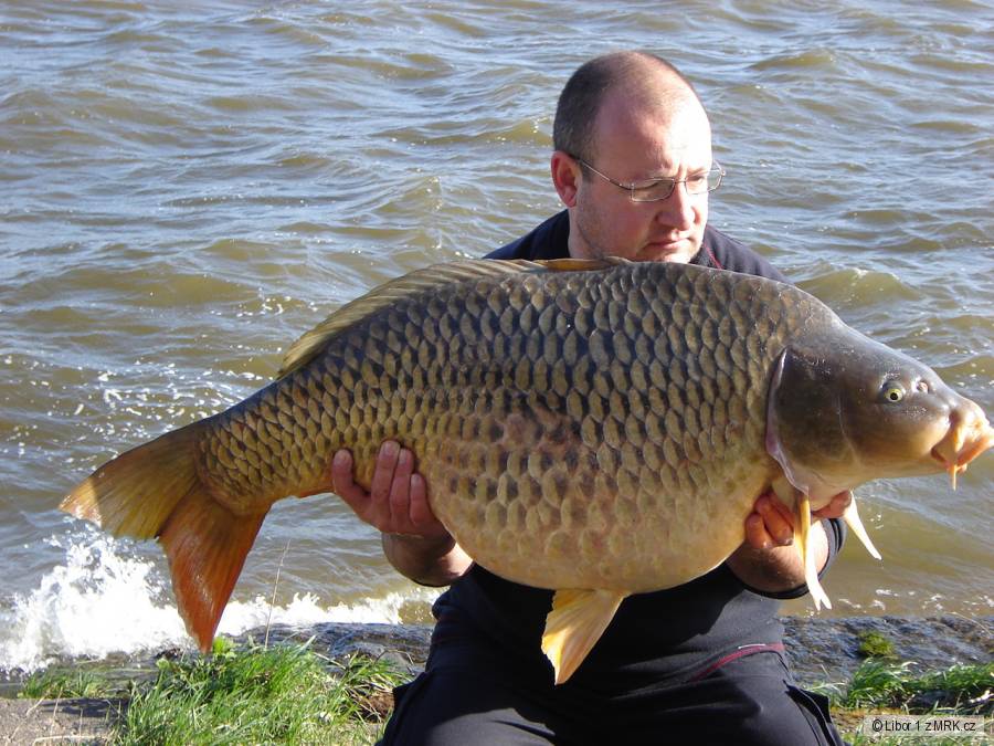 Dyje 5 22,2kg 98cm osobáček
