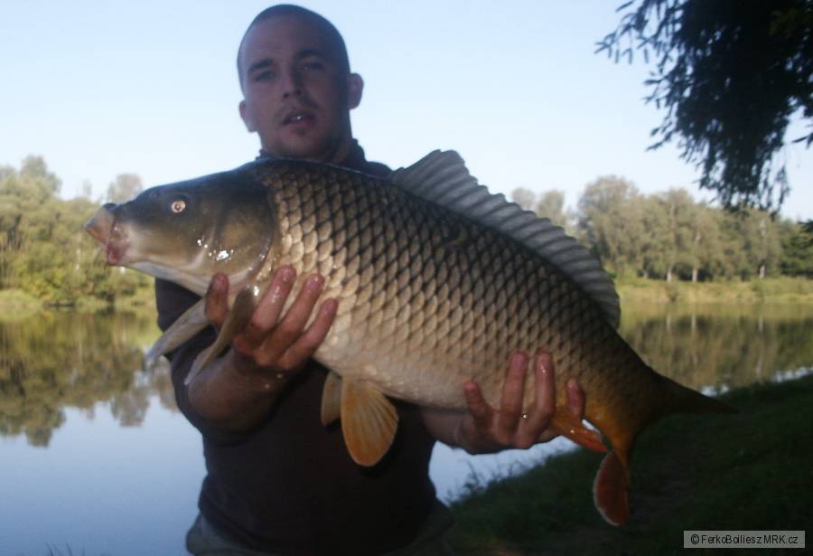 Vášův mlýn