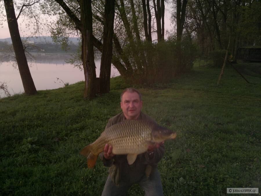 80 cm , 11,5 kg