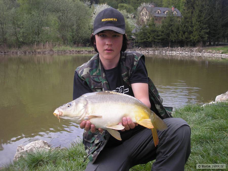 capr 50 cm
