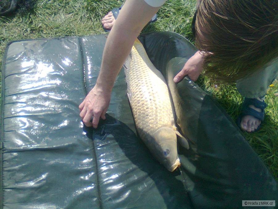 76 cm