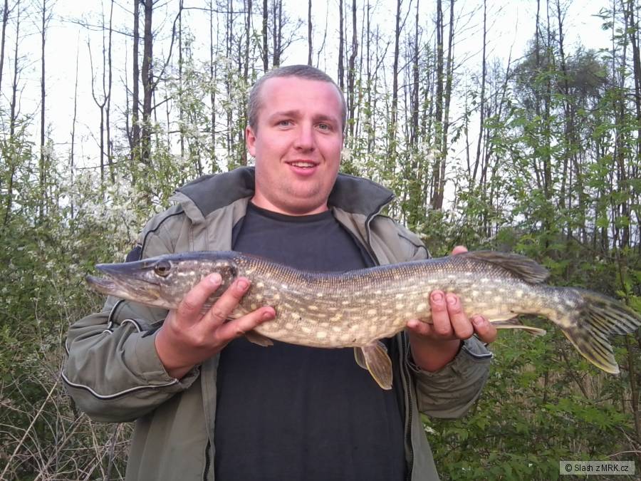 Štika 72 cm