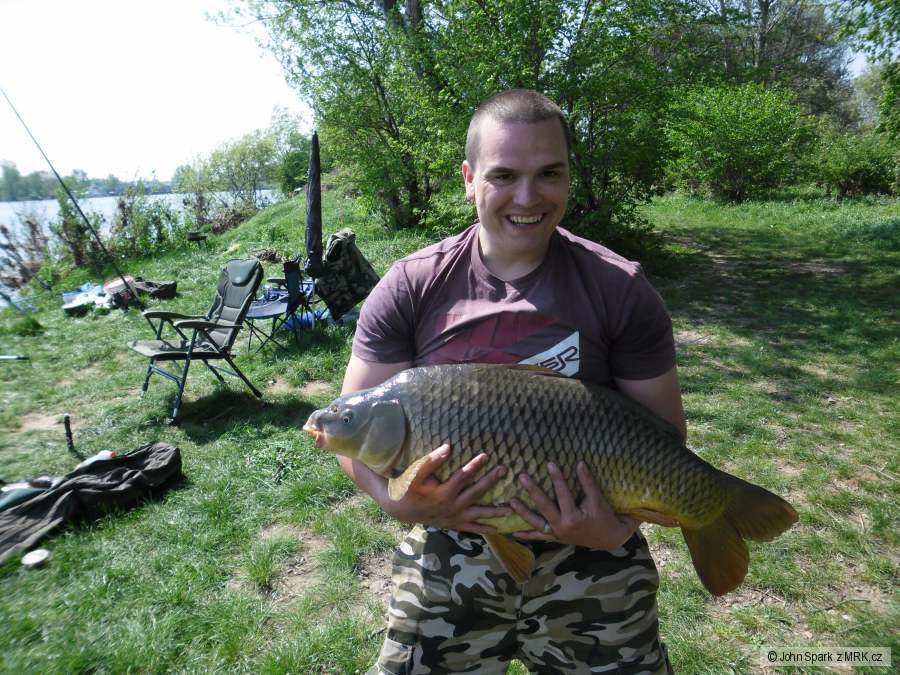 Kapr 82cm-13kg