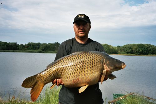 kapr 85cm,17kg