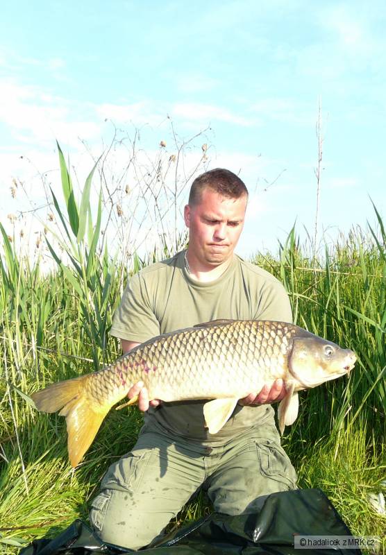82cm,8kg