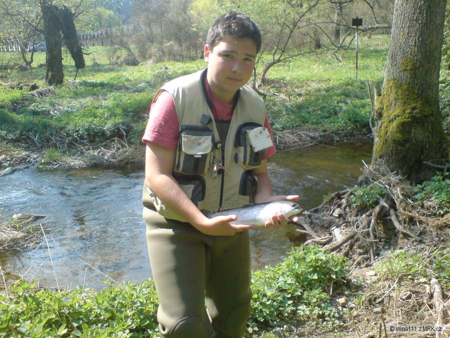 javornice