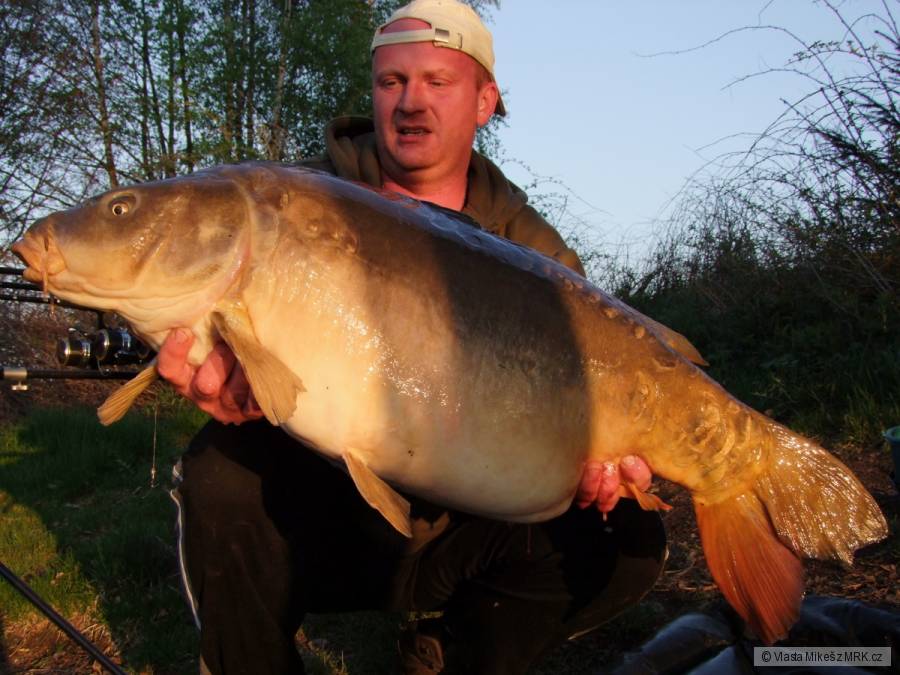 Lysec 19 kg