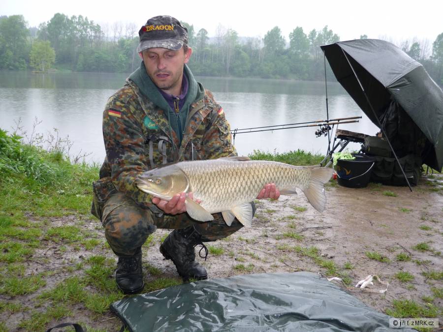 amur 76cm na feeder