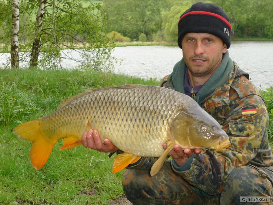 kapr 75cm na feeder