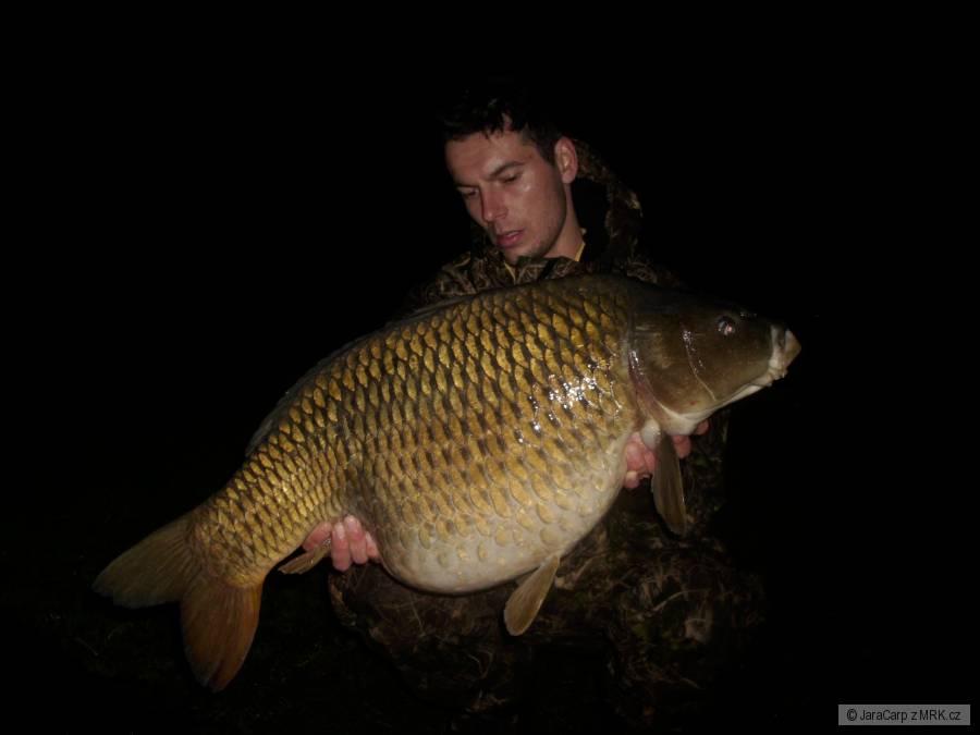 15 kg