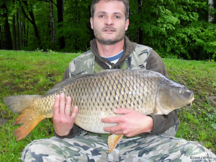 Kapřík 80cm, 11,80kg