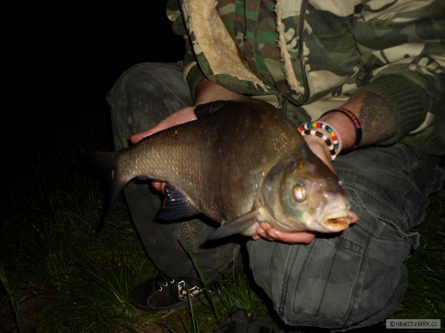 cejnek 55 cm