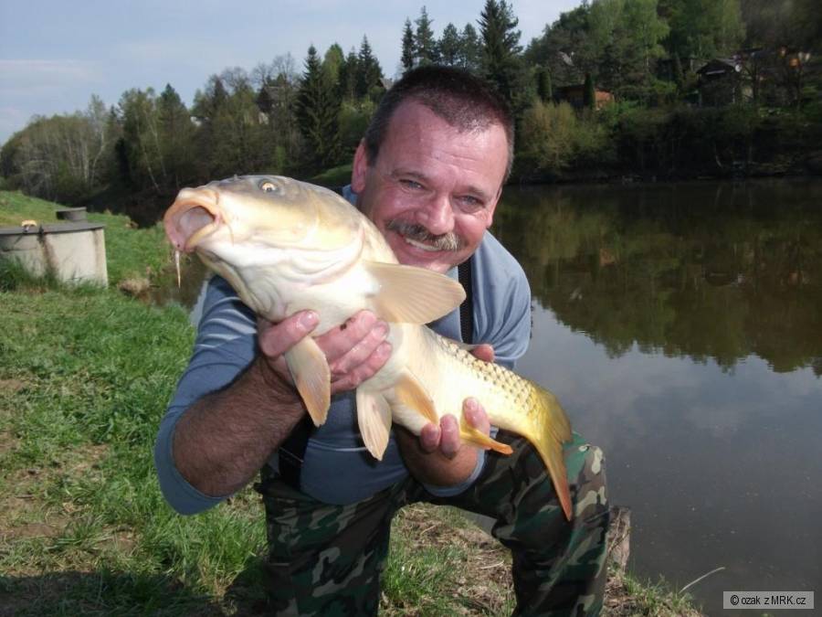kapřík