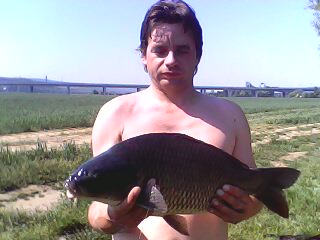 kap��k 62