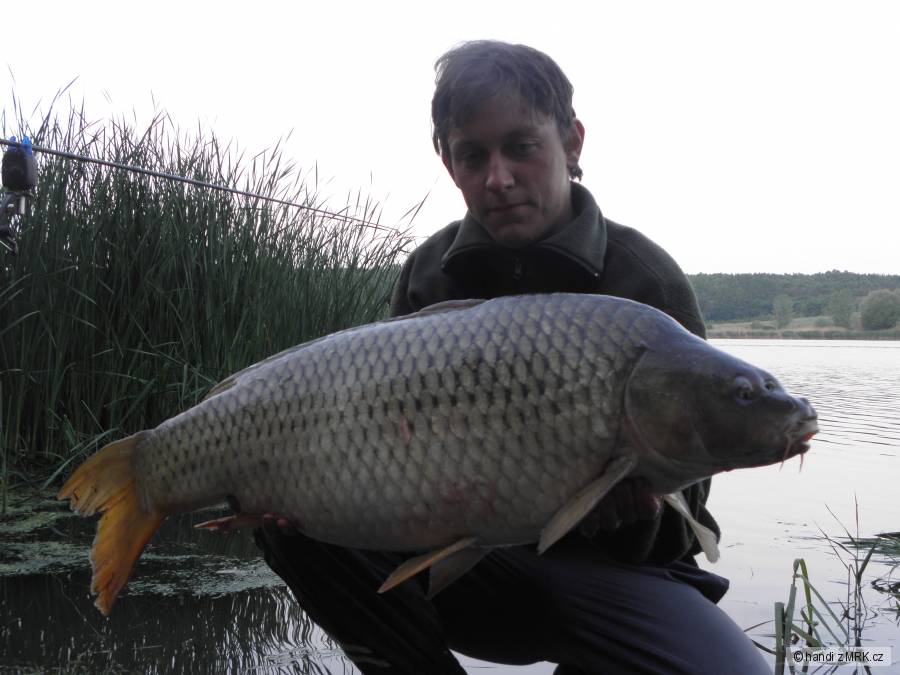 90cm 14,00kg