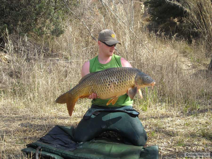 ebro