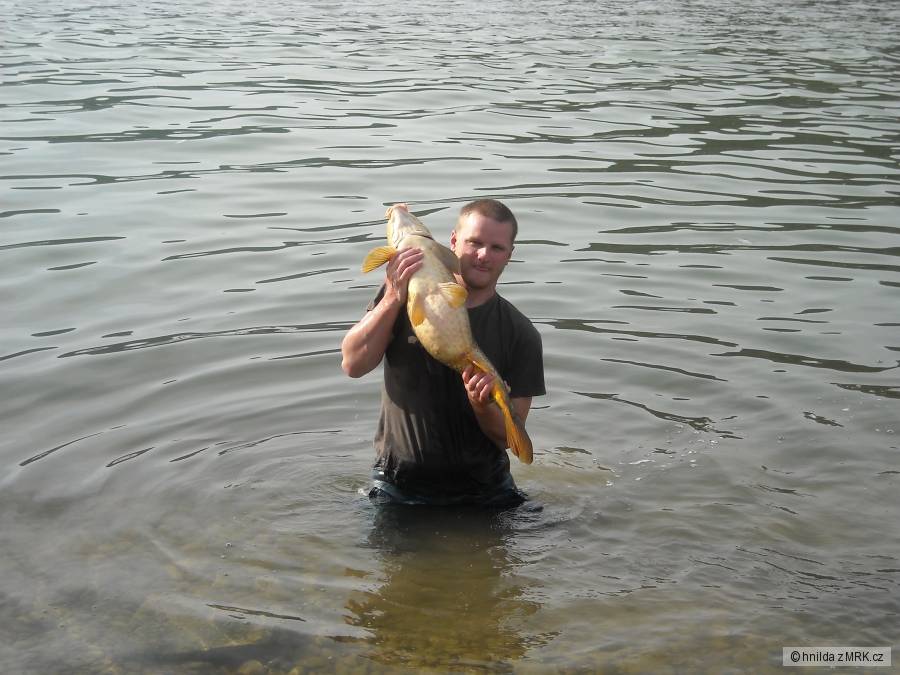 carp