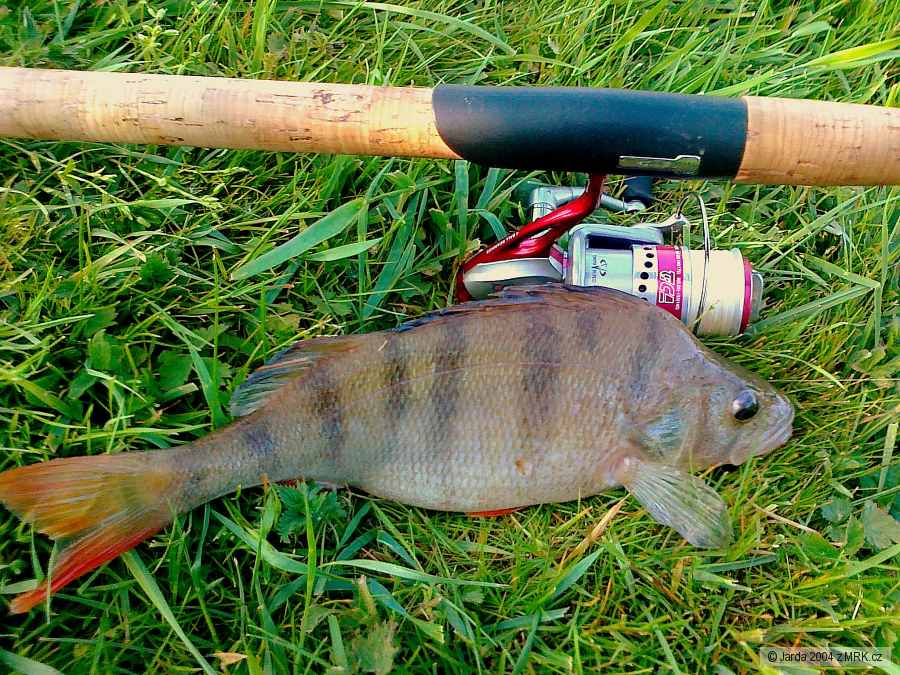 35cm
