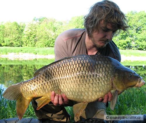 Kapr 12kg