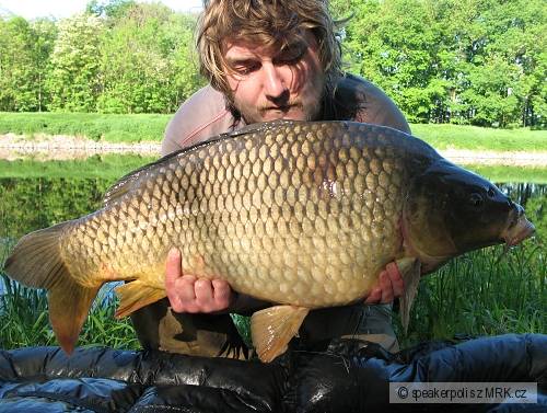 Kapr 12kg 2.